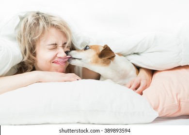 Blonde Beautiful Woman And Dog Playfully Indulge In Fun On The Bed. Dog Bites The Girl's Nose. Happy Time With Pets