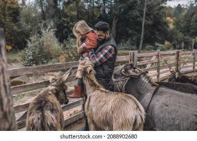 Blonde Cute Girl Standing Near The Cattle-pen