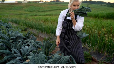 Blonde, Female Chef Picking Fresh Kale For A Farm To Table Restaurant.