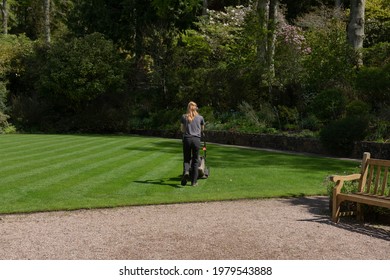 Blonde Female Gardener Mowing A Lawn With Diagonal Stripes On A Bright Sunny Day In A Garden In Rural Devon, England, UK