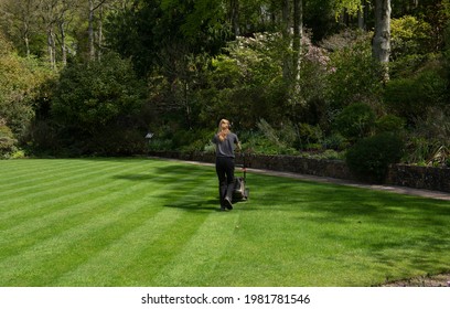 Blonde Female Gardener Mowing A Lawn With Diagonal Stripes On A Bright Sunny Day In A Garden In Rural Devon, England, UK