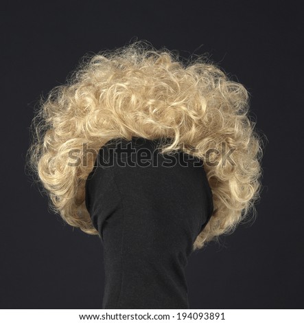 Similar – Image, Stock Photo A blonde with curly hair communicates via video link on a laptop sitting in front of a window