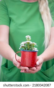 A Blonde Girl With Long Hair In A Bright Green Dress Holding A Red Mug 