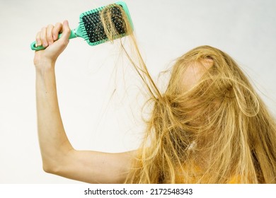 Blonde girl long tangled messy hair holds big brush, untangling and brushing her hair. Haircare, treatment concept.