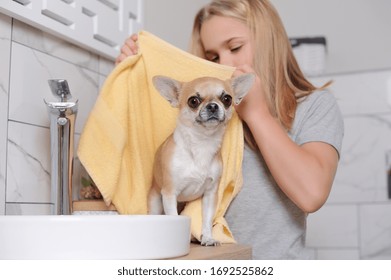 Child Bathing Dog High Res Stock Images Shutterstock