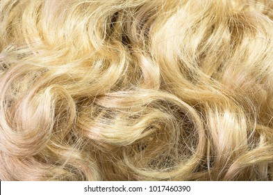 Blonde Hair For Background And Texture Material