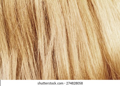 Blonde Hair. Blond Hair Texture - Closeup Photo