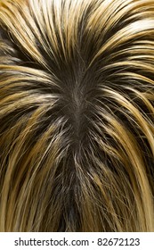 Blonde Hair With Visible Dark Roots