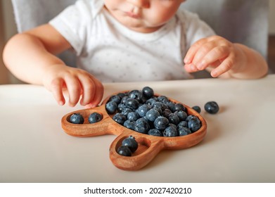 Blonde Toddler Boy Eating Yummy Blueberries On Highchair Close-up And Copy Space.