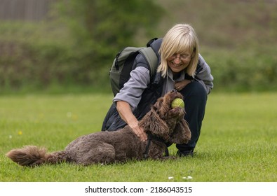 Blonde Woman And Brown Cockapoo With Tennis Ball In Mouth Looking At Each Other In The Park. Dog Is Lying Down And Looking Up