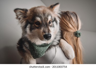 A Blonde Woman Cuddling A Finnish Lapphund Dog, They Have Matching Fashion Accessories