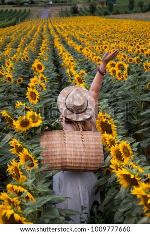 blonde woman with hat in the field of sunflowers