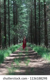 Blonde Woman In Red Dress Running Away From Camera On Forest Path.