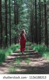 Blonde Woman In Red Dress Running Away From Camera On Forest Path.