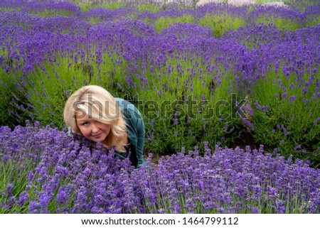 Blonde woman sitting in a lavender field looks up as she sniffs the fragrant flowers