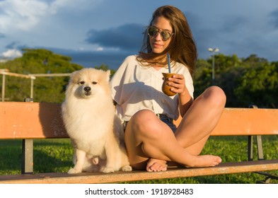 Dogs Mating Images Stock Photos Vectors Shutterstock