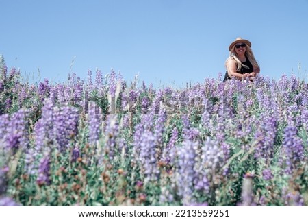 Blonde woman wearing a hat sits in a field of purple lupine wildflowers. Taken in Hayden Valley, Yellowstone National Park Wyoming