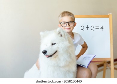 A Blond-haired Smart Boy With Big Glasses Is Sitting, Hugging A Big White Husky Samoyed Dog, At The Blackboard With A Notebook On His Lap. Education, Junior School, Mathematics Concept.