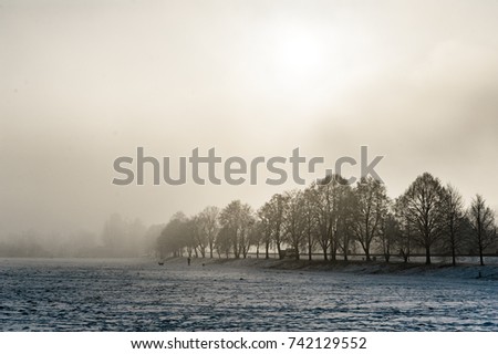 Similar – winter fog Nature