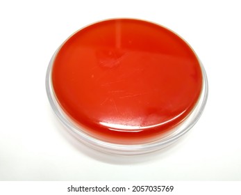 Blood agar medium at white background.