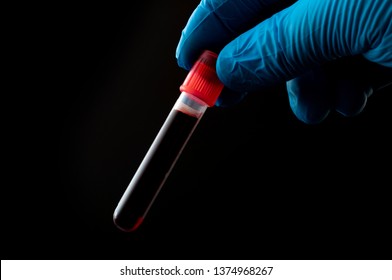 Blood analysis, clinical or medical testing and phlebotomy concept theme with close up on doctor hand wearing blue latex gloves and holding a test tube isolated on black background