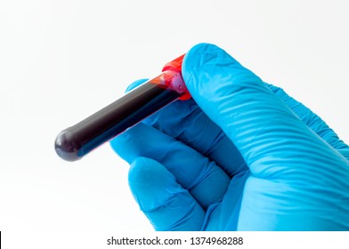 Blood analysis, clinical or medical testing and phlebotomy concept theme with close up on doctor hand wearing blue latex gloves and holding a test tube isolated on white background
