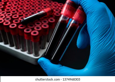 Blood analysis, clinical or medical testing and phlebotomy concept theme with close up on doctor hand wearing blue latex gloves and holding a test tubes isolated on black background
