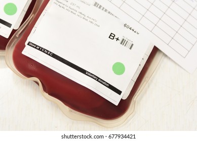 Blood Bag Fresh Donor Blood For Transfusion And Blood Bank Card For Cross Matching In Laboratory Room.