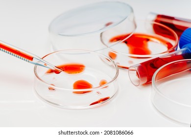 Blood Coronavirus Test.Virus Vaccine Development.Medical Laboratory.Test Tube,Petri Dish With Blood On A White Background.Concept Of Laboratory Research.Blood Test Analysis With Petri Dish Close Up.