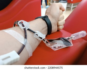 Blood Donation, Blood Transfusion, Check Specified, Fasting, Health Care. Left Arm Of Caucasian Young Man With Equipment For Blood Or Plasma Donations In Donation Centre. Blood Donation Concept. Plasm