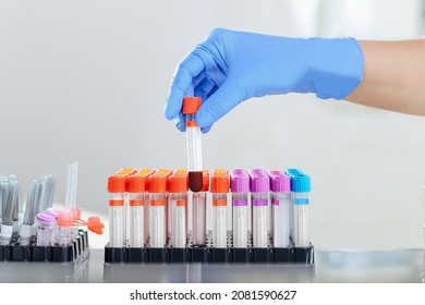 Blood Drawing Equipment In Laboratory For Analysis