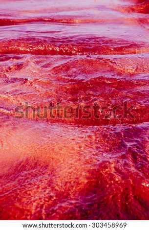 blood flow - artistic interpretation of blood based on a tidal stream 