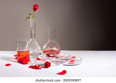 Blood And Flower Among Beakers And Laboratory Flasks, Vampire Romance With Elements Of Science, Concept