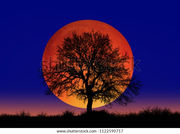 Blood moon of Total Lunar Eclipse\
with lone tree \
