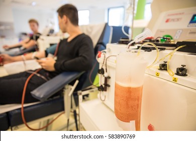 Blood Plasma Donation At A Clinic
