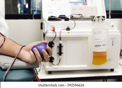 Blood Plasma Donation Process, Close Up Of Hand Squeezing A Rubber Ball