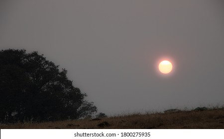 Blood Red Sun In Smoke-Filled Sky Due To California Wildfires In August 2020