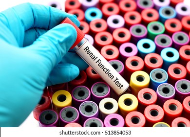 Blood For Renal Function Test