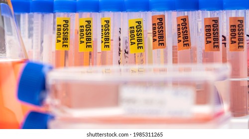 Blood Sample From Ebola Patient, Positive Result, Conceptual Image