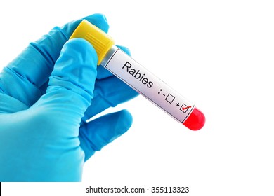 6,280 Rabies Virus Images, Stock Photos & Vectors | Shutterstock