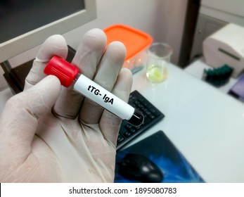 Blood Sample For Tissue Transglutaminase Antibody (tTG) IgA, Diagnosis Of Celiac Disease