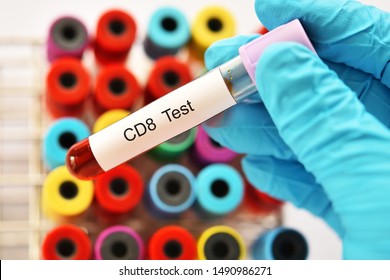 Blood Sample Tube For Cytotoxic T Cell Lymphocyte Or CD8 Test