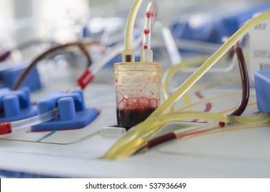 1,238 Blood components Images, Stock Photos & Vectors | Shutterstock