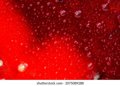 Blood Splats On Real Life Stock Photo 2075089288 | Shutterstock