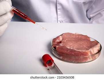 Blood test of artificial meat in petri dish using pipette. Food control labs. Fake food production of GMO meat test-tube grown meat for vegans. Synthetic GMO food production and testing. How to speed