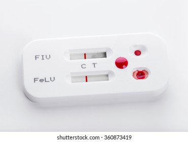 Blood Testing Virus Kit On White. Healthy Care Concept