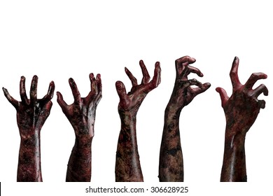 Blood zombie hands on white background,zombie theme, halloween theme 