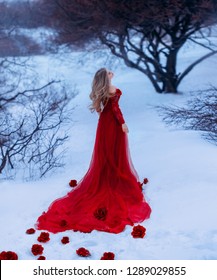 bloody Countess Batory. gorgeous flower, rosebuds fall on white cold snow. sexy fairy. winter forest. long elegant red dark dress with train. bare shoulders.  Wind fluttering blond hair. black trees