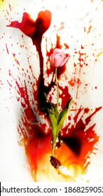 Bloody Flower On White Background