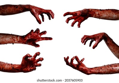 Bloody Hands Background, Maniac, Blood Zombie Hands, Zombie Theme, Halloween Theme Zombi Horror Scary Death Isolate Hands Ghost On White Background

